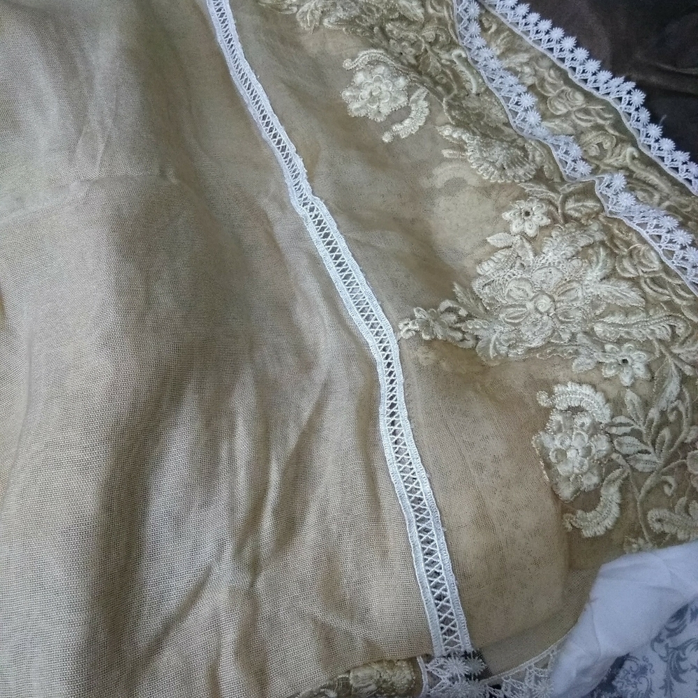 Agha noor dupatta